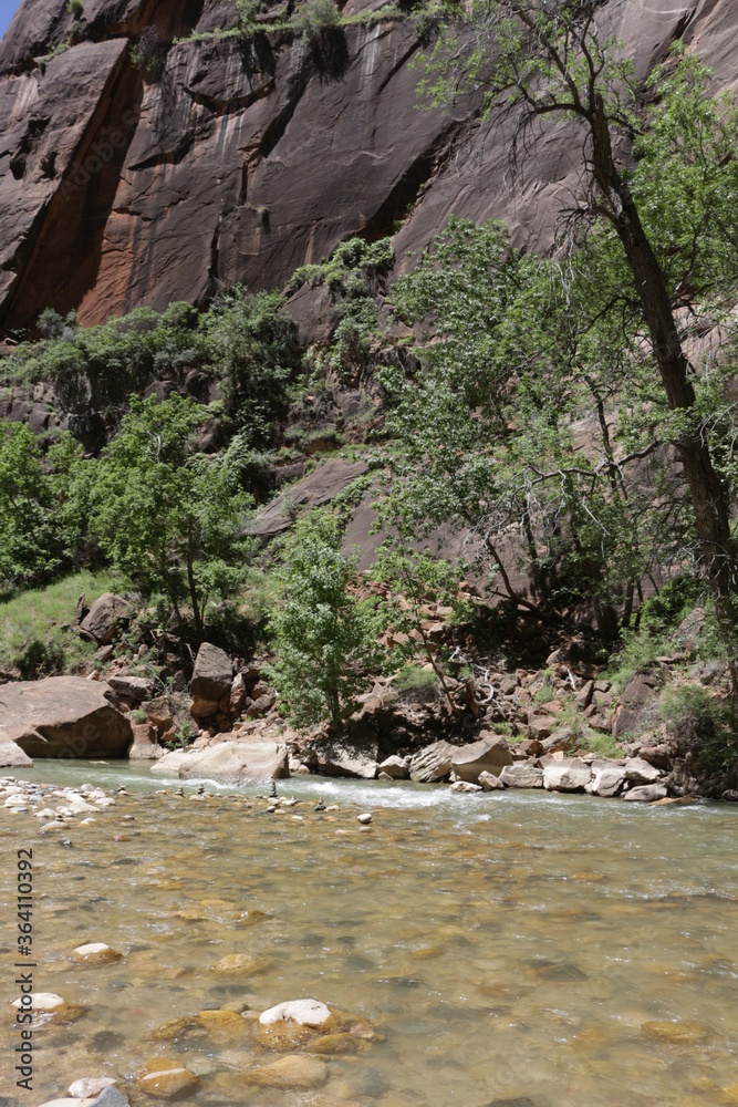 scenic Trails in Zion National Park, Utah scenic Trails in Zion National Park, Utah