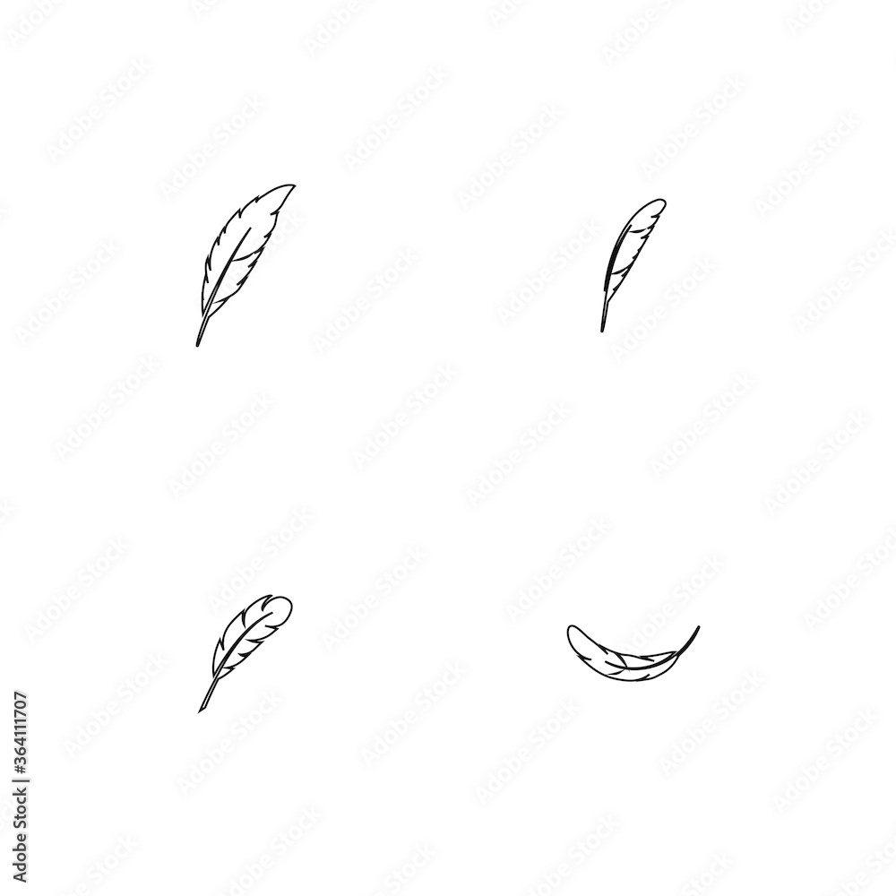 Obraz premium feather logo