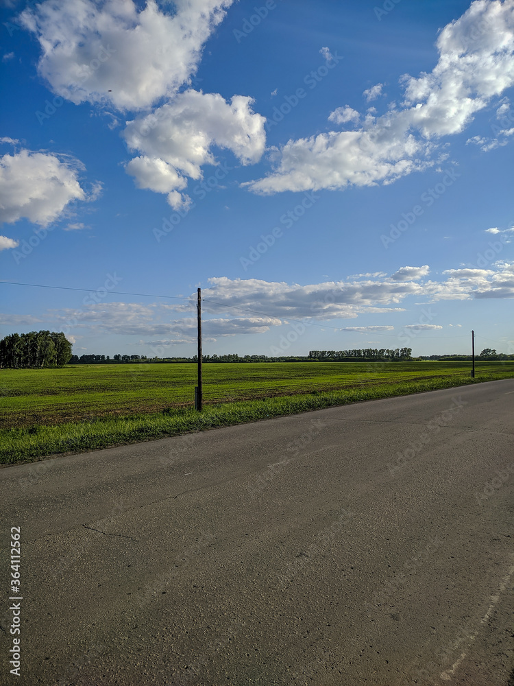 Russian outback, view of the outgoing road, blue sky and green meadows in Kamen-na-Obi, Altai, Russia. Vertical. Russian outback, view of the outgoing road, blue sky and green meadows in Kamen-na-Obi, Altai, Russia. Vertical.