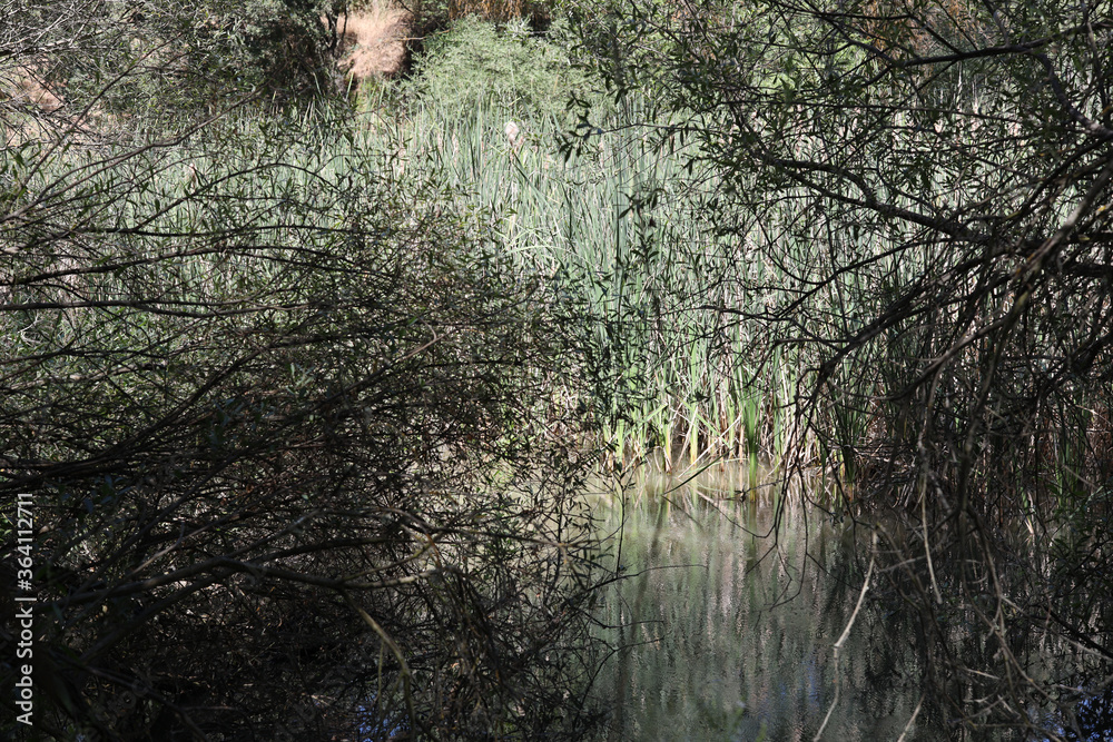 El Pardo El Pardo