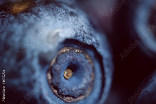 Macro photo of blueberries, very shallow depth of field