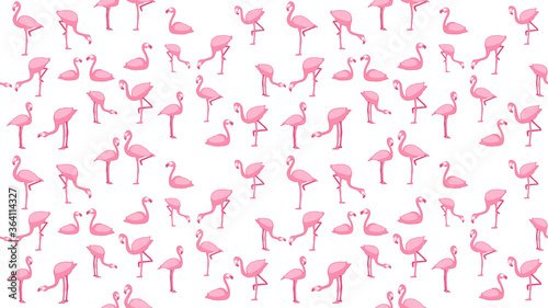 Bird seamless pattern  Flamingo on white wallpaper. 