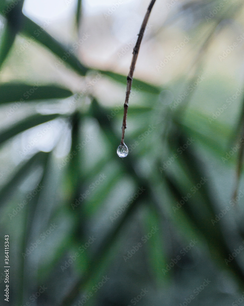 droplet