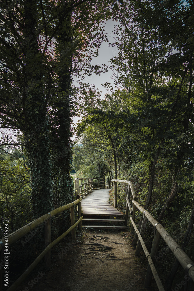 Fototapeta premium Torbiere del Sebino nature reserve. View of the