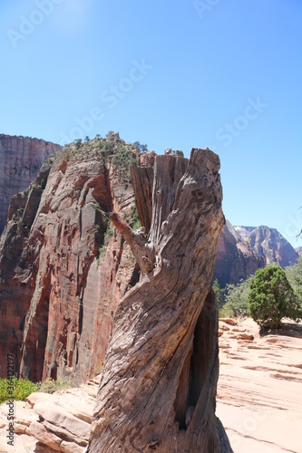 Angel's Landing Trail, Zion National Park, Utah