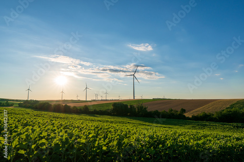 Wind turbines and agricultural field on a summer sunset day. Energy production, clean and renewable energy.