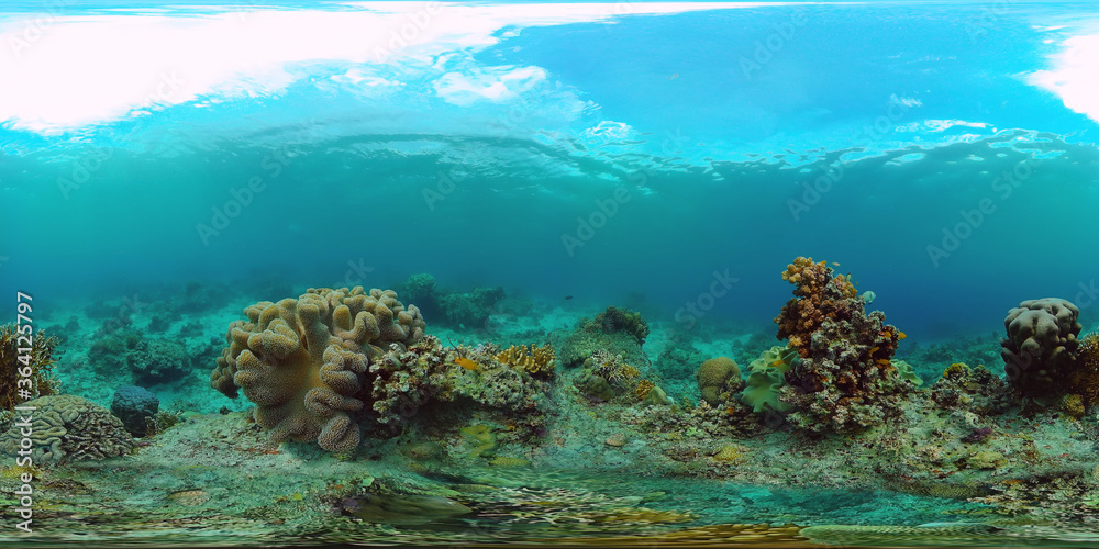 Coral reef and tropical fishes. The underwater world of the Philippines. VR 360 Foto.