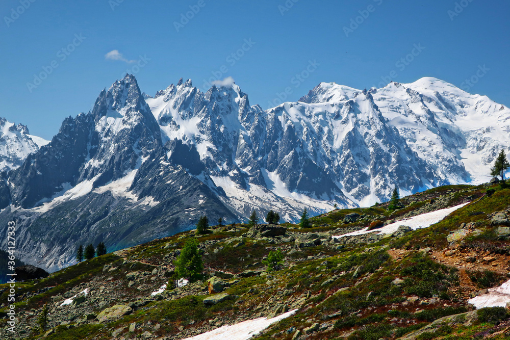 Massif du Mont-Blanc
(sur les chemins du menant au lac blanc=)