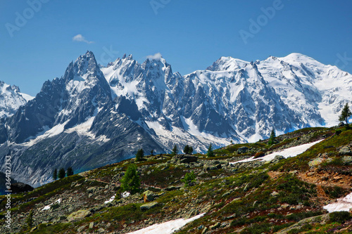 Massif du Mont-Blanc  sur les chemins du menant au lac blanc  