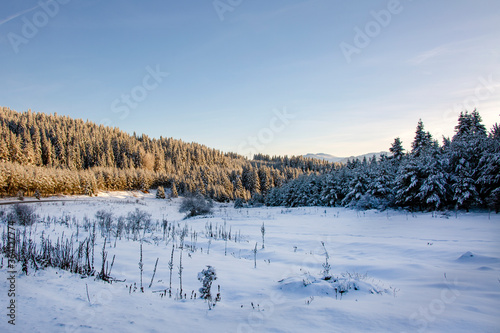 mountain snow forest landscape. Mountain snow forest view. Snow in mountains