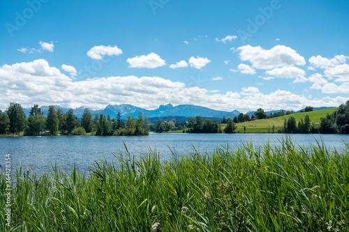 Schwaltenweiher im Ostallgäu vor Allgäuer Alpen photo