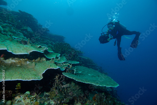 Dive scuba Indonesia Halmahera diver