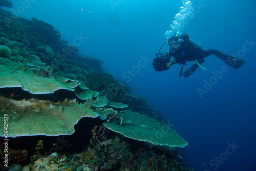 Dive scuba Indonesia Halmahera diver