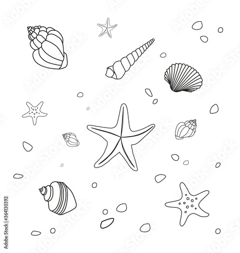 Set of different sea stars and sea shells hand drawn line doodles isolated on white background. - Vector illustration