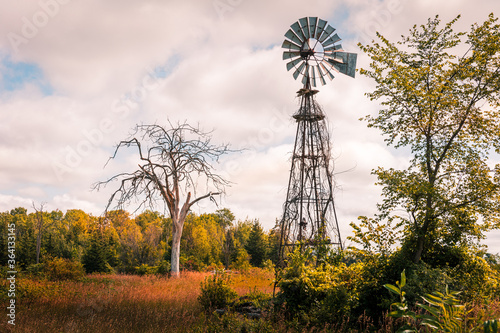 Old Windmill in a field of decrepit trees. 