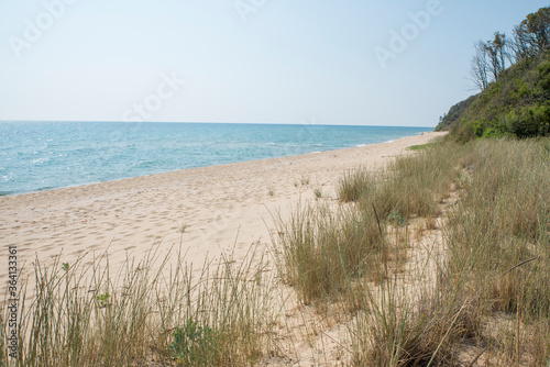 Fototapeta Naklejka Na Ścianę i Meble -  Grass on the sandy beach