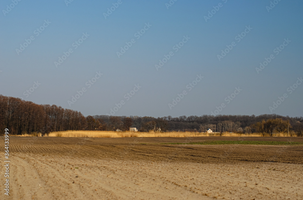 Obraz premium Landscape field