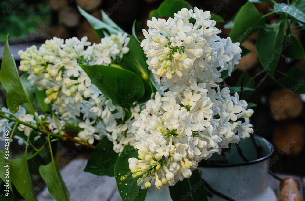 flowers flowers