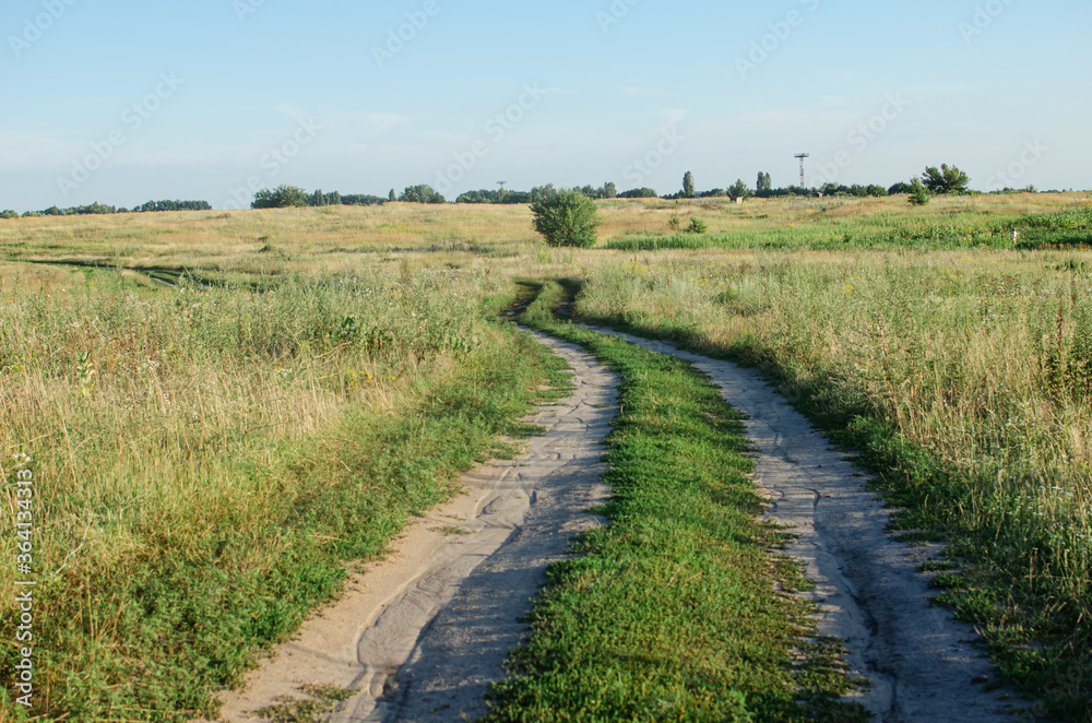 road, way forward road, way forward