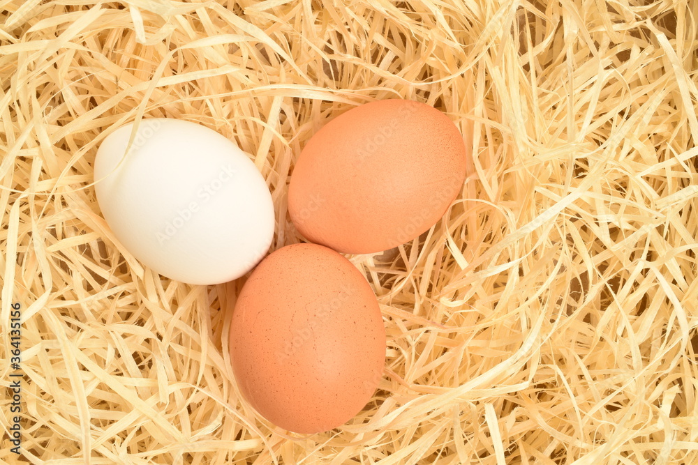A few chicken eggs, close-up, on wood shavings. A few chicken eggs, close-up, on wood shavings.