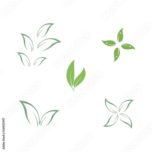 Set Eucalyptus leaves logo vector