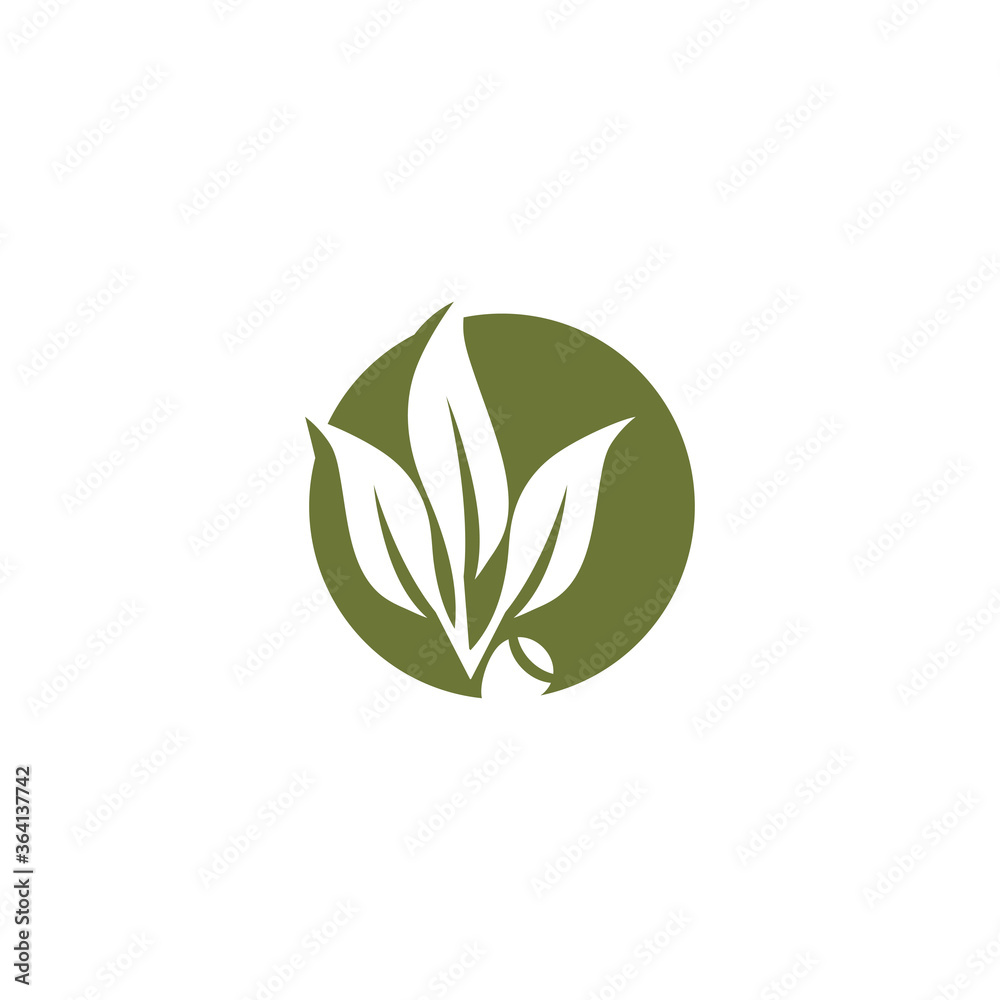Eucalyptus leaves logo vector template Eucalyptus leaves logo vector template