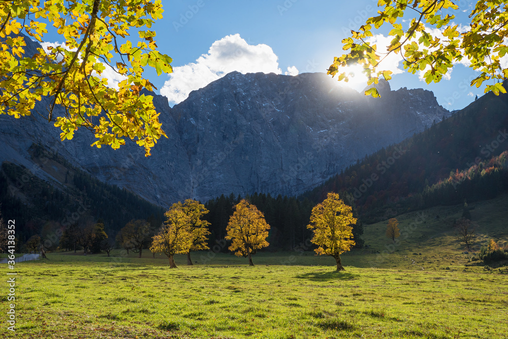 golden maple trees at hiking destination Ahornboden, austria