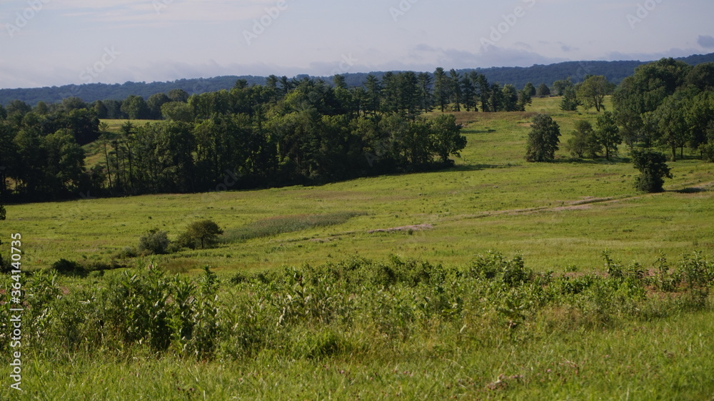 Valley Forge Park