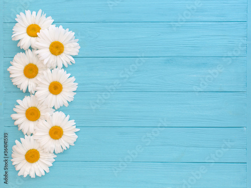 Chamomile on blue wooden background. Flat lay, copy space