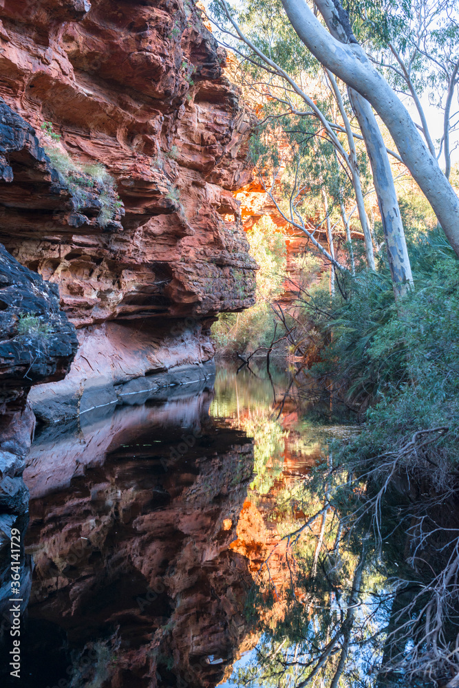 Garden of Eden at Kings Canyon. Kings Canyon is part of Watarrka National Park, in the southwestern corner of the Northern Territory. Garden of Eden at Kings Canyon. Kings Canyon is part of Watarrka National Park, in the southwestern corner of the Northern Territory.