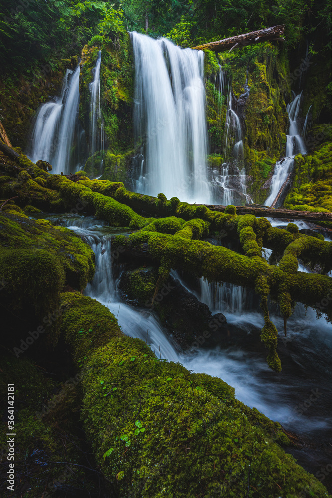 Fototapeta premium Amazing and Colorful mossy waterfall in oregon