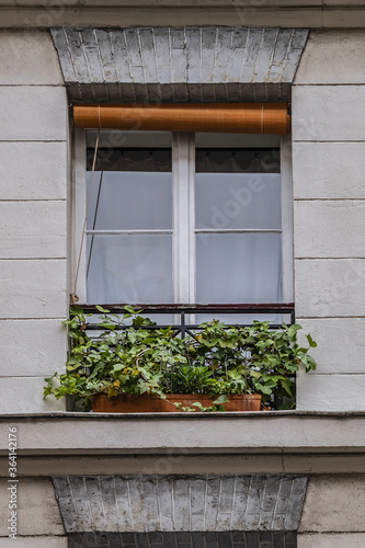 Old French house with traditional balconies and windows. Paris, France.