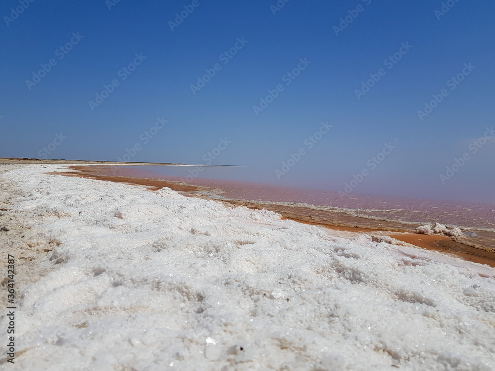 Pink Syvash Lake salty beach, Ukraine