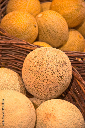 Cantaloupe or Melons on sale.