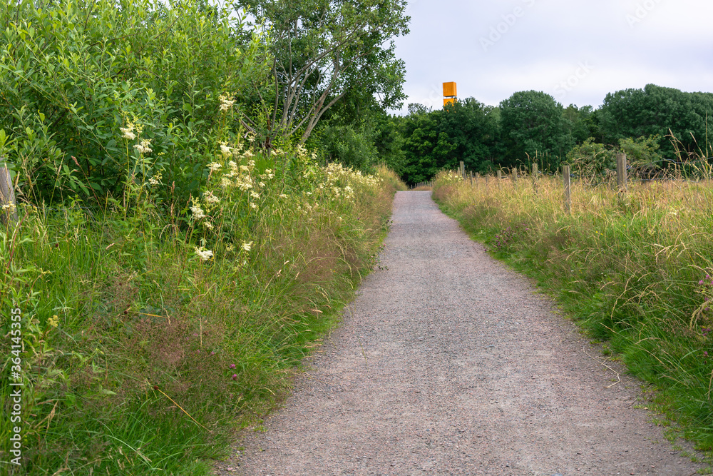 Vertical composition of pathway with green grass and fresh flowers in gothenburg sweden
