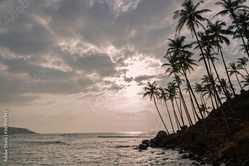 Palm trees ocean view, Sri Lanka, Sunset landscape, Mirissa