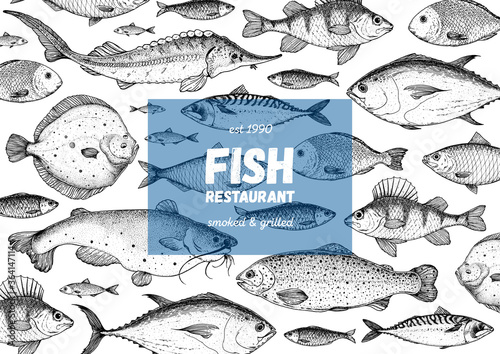 Fish sketch collection. Hand drawn vector illustration great for package or menu design. Seafood fish pattern. Leaflet, brochure, booklet design template. Black and white engraved style.