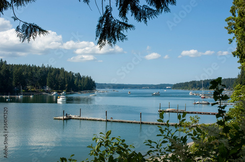 PNW ocean cove with boats, framed by evergreen trees, at Williams-Olson Park, Bainbridge Island, Washington State WA