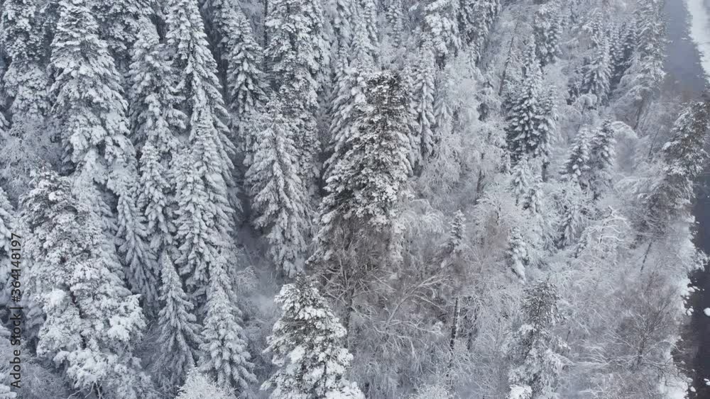 Winter snow-covered landscape of mountain forest and river during snowfall. Aerial view of the devon forest Winter snow-covered landscape of mountain forest and river during snowfall. Aerial view of the devon forest