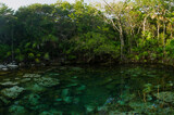 Enchanting emerald color water natural pond. Underground water cenote in the tropical rainforest with a rocky bed and surrounded by jungle flora. 