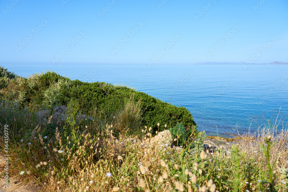 Rocky Sea coast with green plant in Crete, Greece against a blue water and clear sky as a natural background. Copy space.