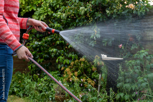 Woman watering the garden plants and grass with a hose. Spraying waterdroplets visible.