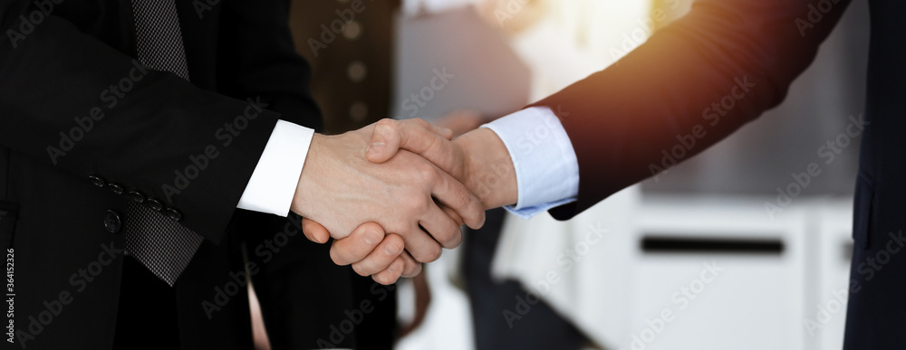 Business people shaking hands after contract signing while standing in sunny office. Teamwork and handshake concept