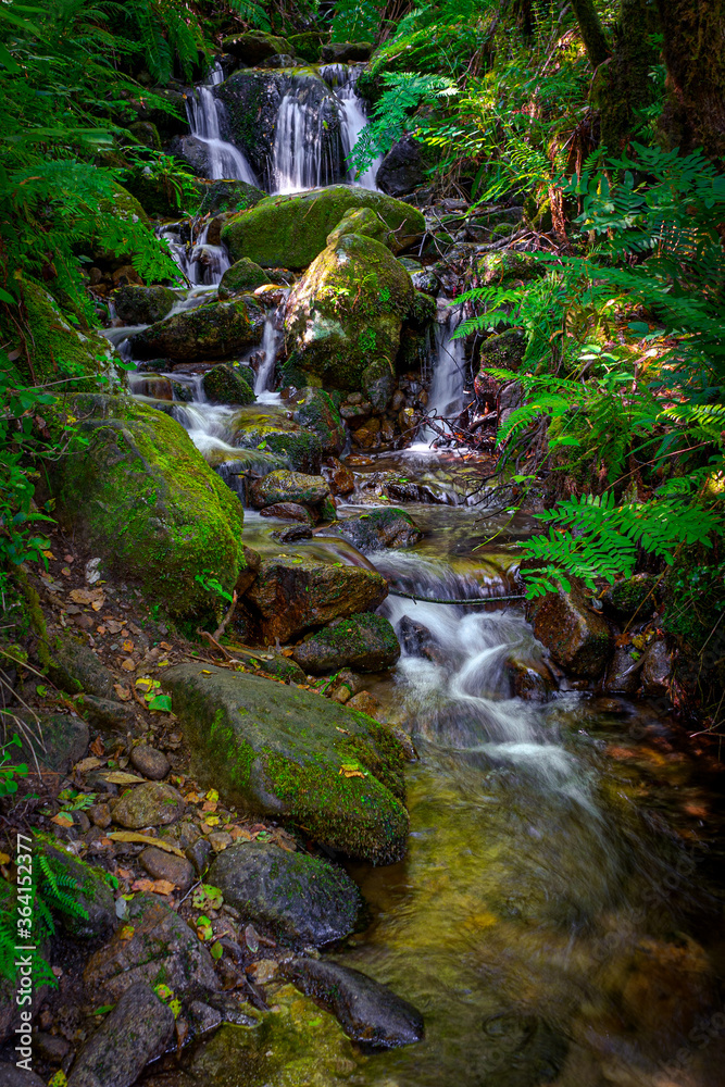 Obraz premium FRAGAS DO EUME 2