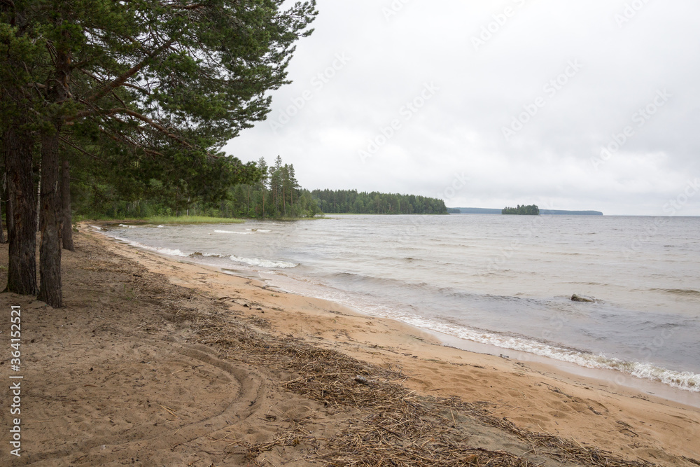 Sandy shore of the lake near the forest in Karelia Sandy shore of the lake near the forest in Karelia