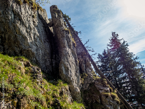 Grunten Guardian of the Allgau