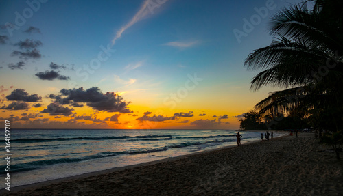 COPY SPACE: Breathtaking tropical island beach on a sunny summer evening.