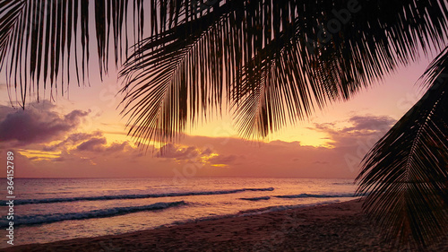 SILHOUETTE: Small waves roll towards a tropical island on a sunny evening.