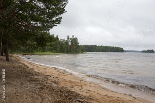 Fototapeta Naklejka Na Ścianę i Meble -  Sandy shore of the lake near the forest in Karelia