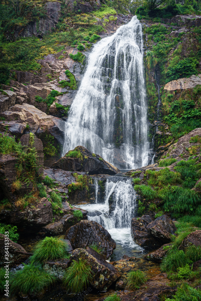 Naklejka premium FERVENZA RIO BELELLE